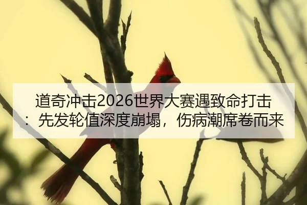 道奇冲击2026世界大赛遇致命打击：先发轮值深度崩塌，伤病潮席卷而来